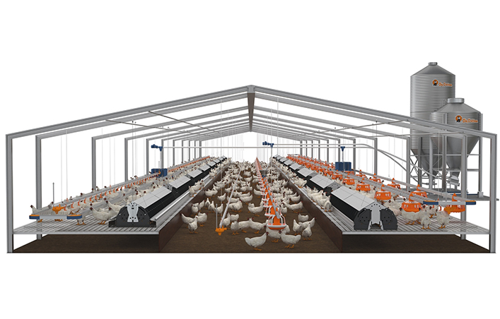 Steel Structure Broiler Chicken House Poultry Farm